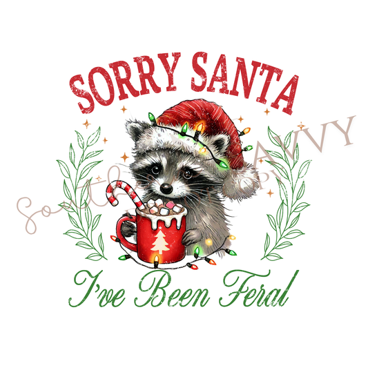 Sorry Santa Raccoon DTF